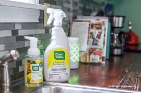 Repairing, Cleaning and Product Durability on the Homestead Image